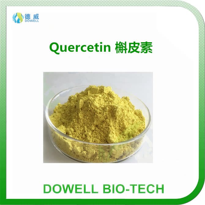 Natural Herbal Extract Quercetin HPLC95__UV98_